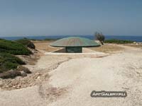 ����. ������